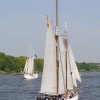 4150_3033 Segler auf der Elbe zum Hamburger Hafengeburtstag. | 